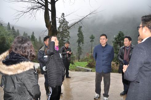 说明: DSC_0220.JPG